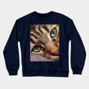 Ignatz, The Maine Coon Kitten Crewneck Sweatshirt